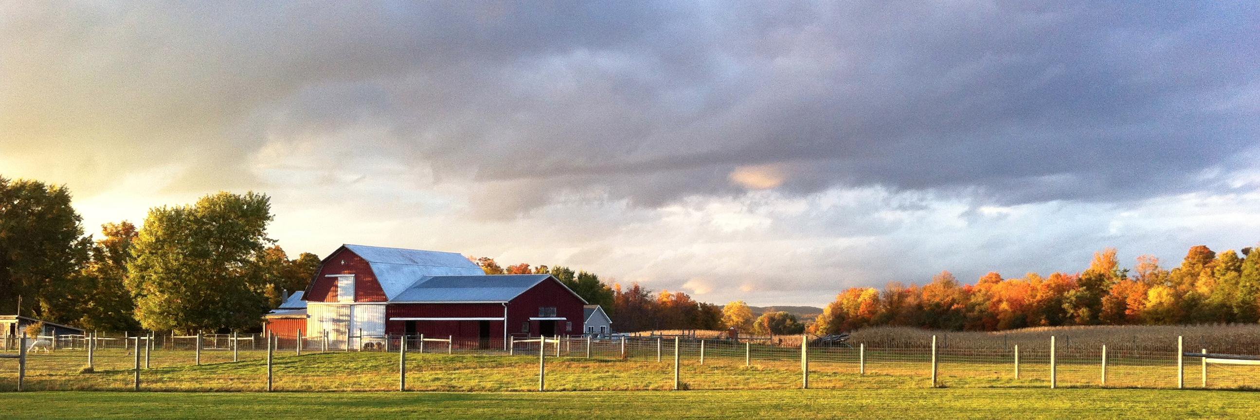 BelCantoFarm's profile banner image