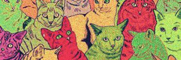 MeriABarca's profile banner image