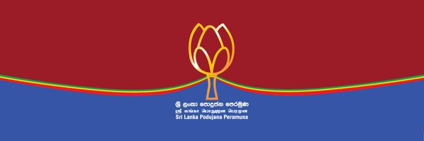 PodujanaParty Profile Banner