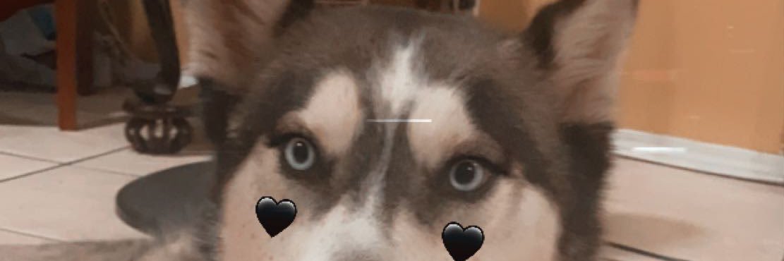 luisrg08's profile banner image