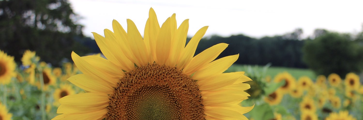 bridget_laf's profile banner image