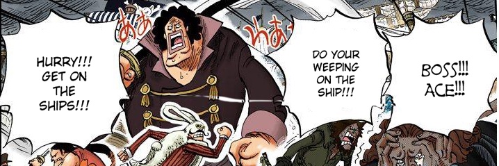 ararara banner