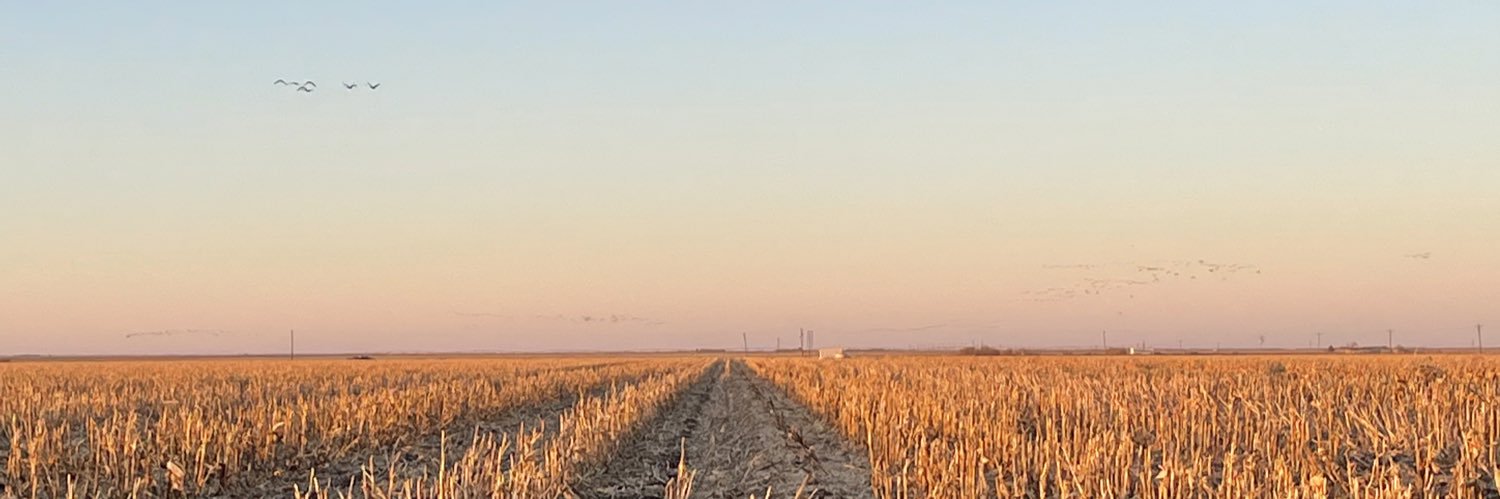 Sethheupel's profile banner image