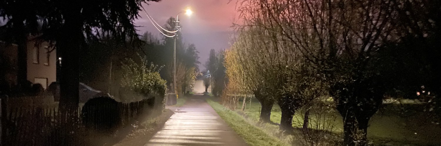 Bert Ostyn - Absynthe Minded banner