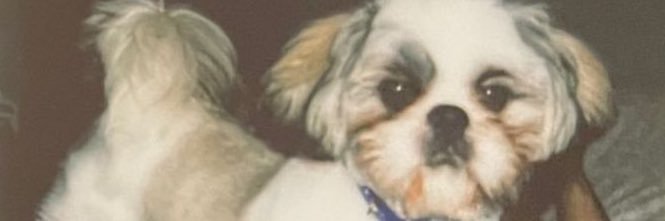 IreriBautista's profile banner image