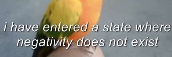 saimamzz's profile banner image