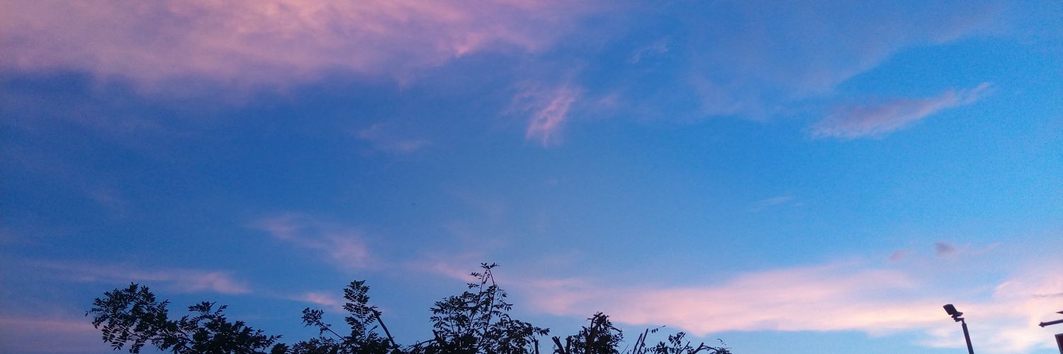 pimpd07's profile banner image