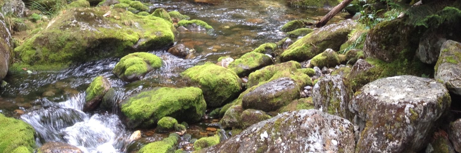 Raymond D Sims banner