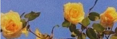 a_Rea99's profile banner image
