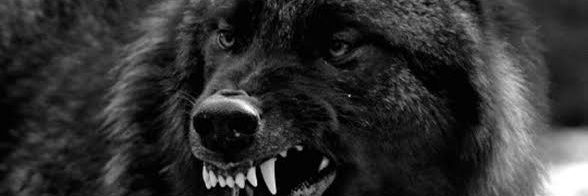 LucasGsmoke's profile banner image