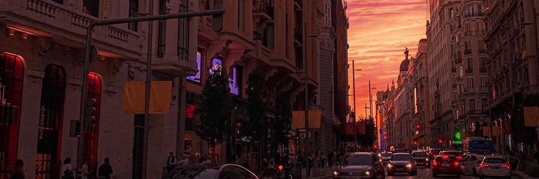 milrosca's profile banner image