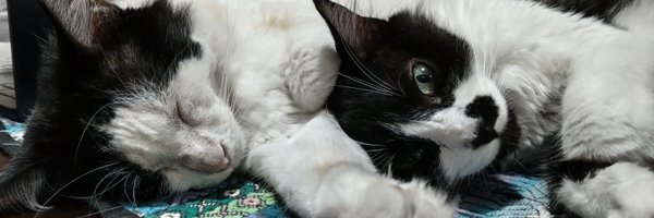 SGLiss1 Profile Banner