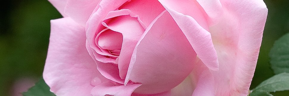 GracAndrade's profile banner image