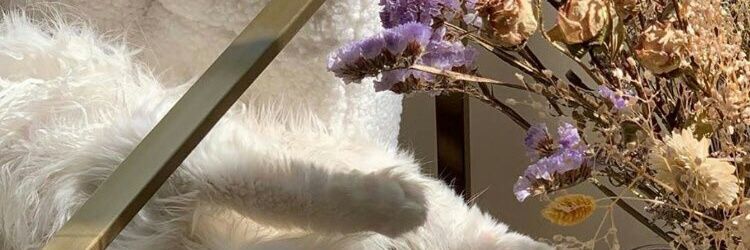 devita hadid banner