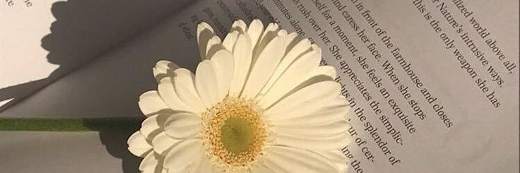 nn_2547 banner