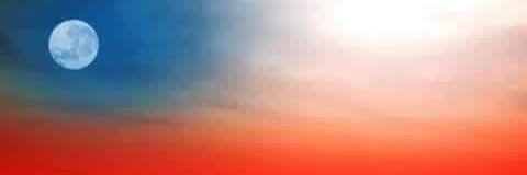 Frank Vallelonga banner