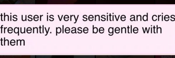 07Cheesecake Profile Banner