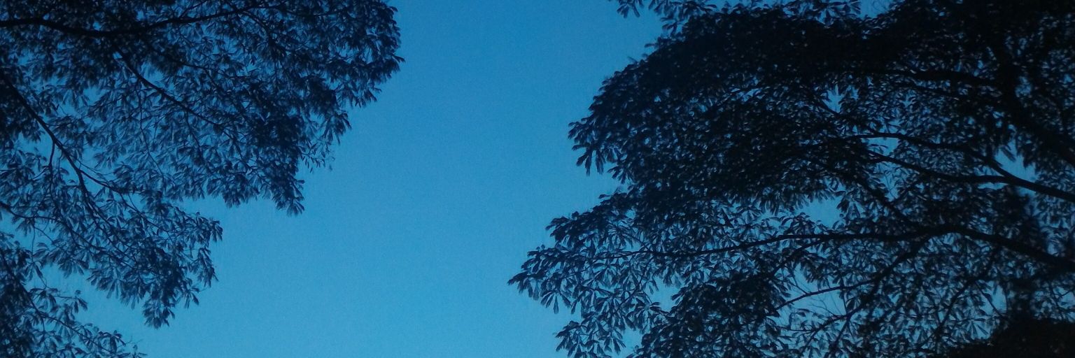 taeyonss's profile banner image