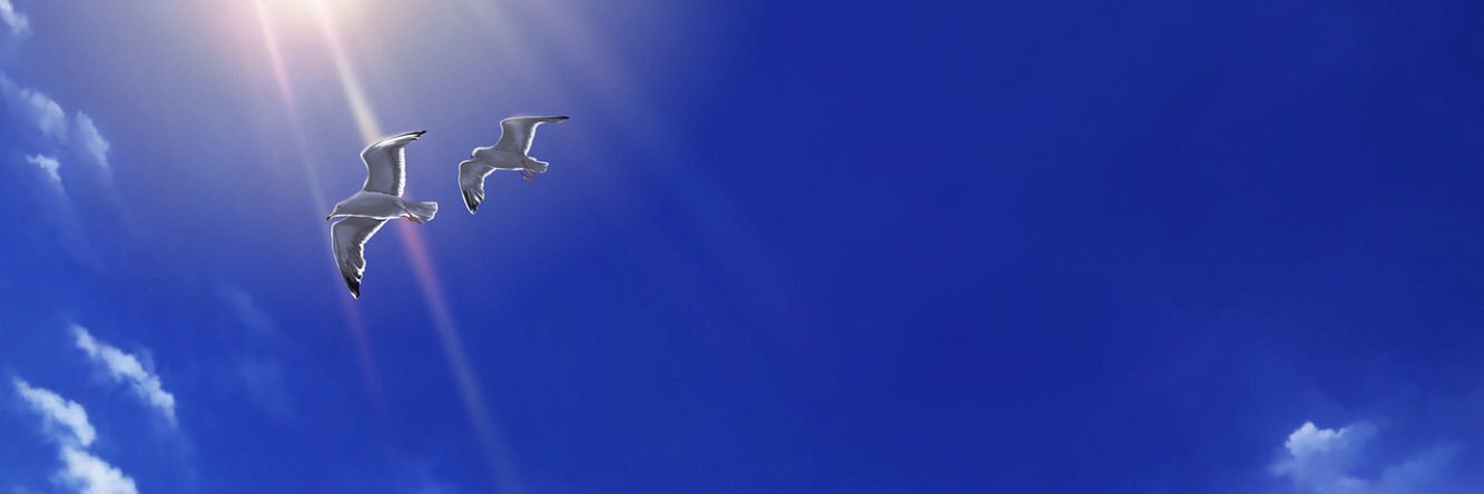 mast_TN's profile banner image