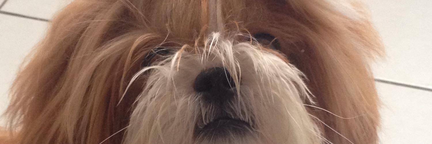 CaRegiss's profile banner image