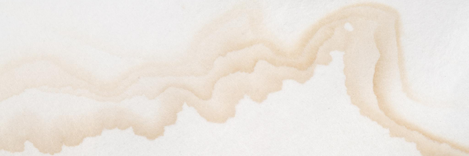 IngridEB (She/her) banner