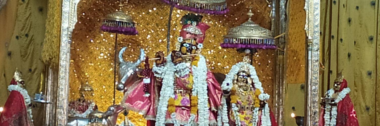 nnnandini's profile banner image
