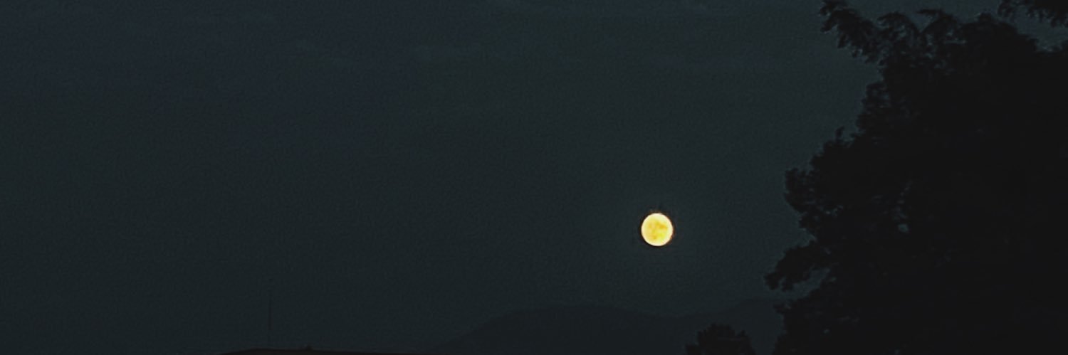 khalista01's profile banner image