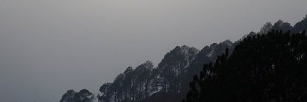 ms_rana Profile Banner