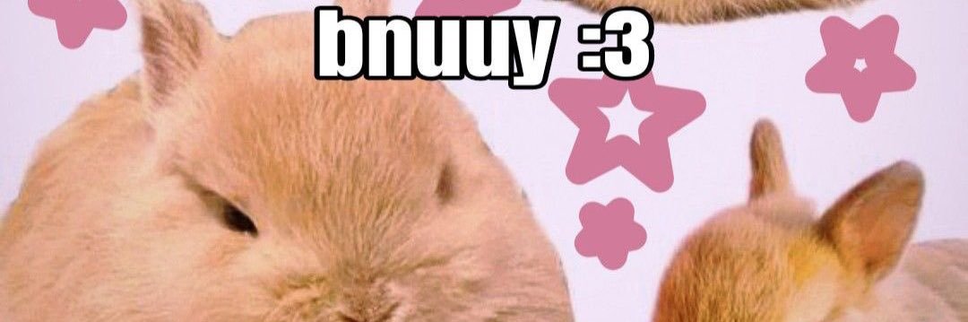 PioinAlt's profile banner image