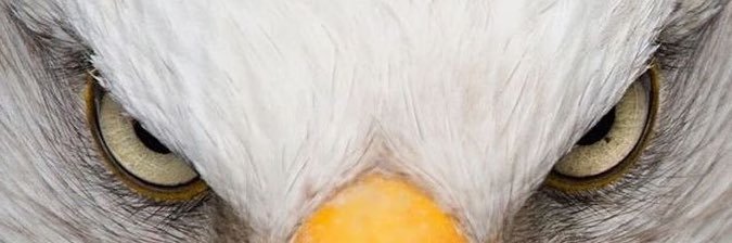 giumorcillo's profile banner image