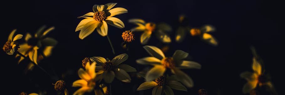 hotchooocolate_'s profile banner image