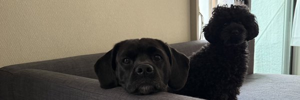 _itsuki_h_ Profile Banner