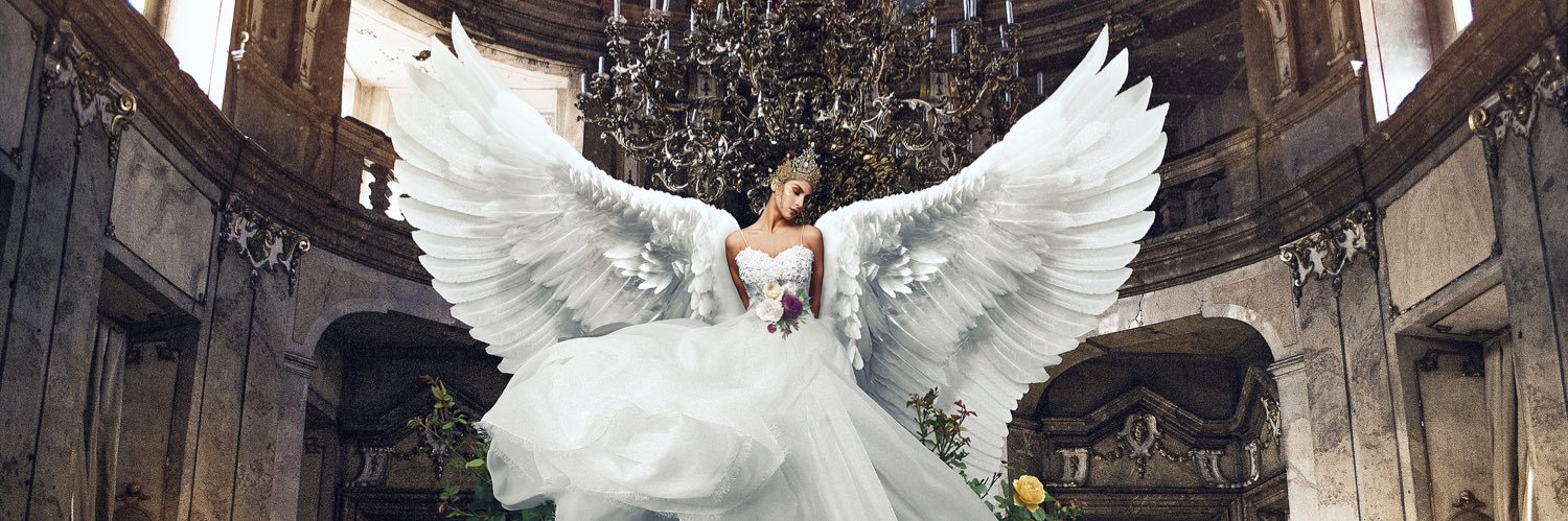 luca storelli banner