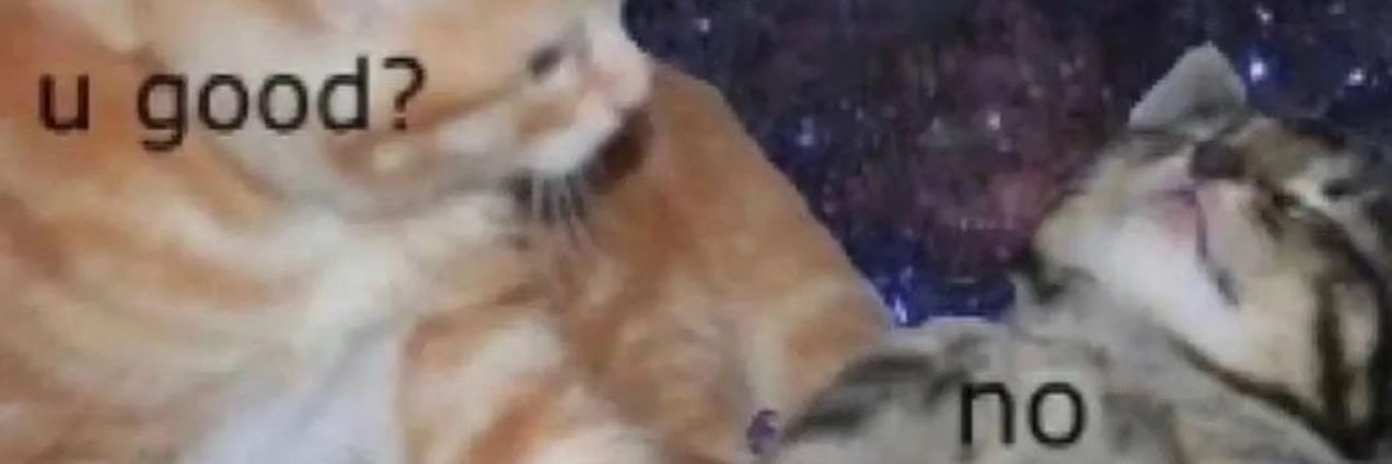 𝙶𝚘𝚗𝚛𝚢𝚞𝚗 𝙳𝚊𝚢𝚍𝚛𝚎𝚊𝚖𝚎𝚛. banner
