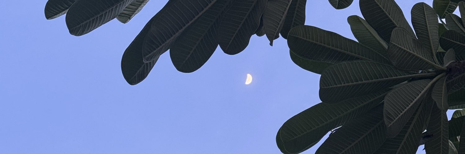 FriendKie's profile banner image