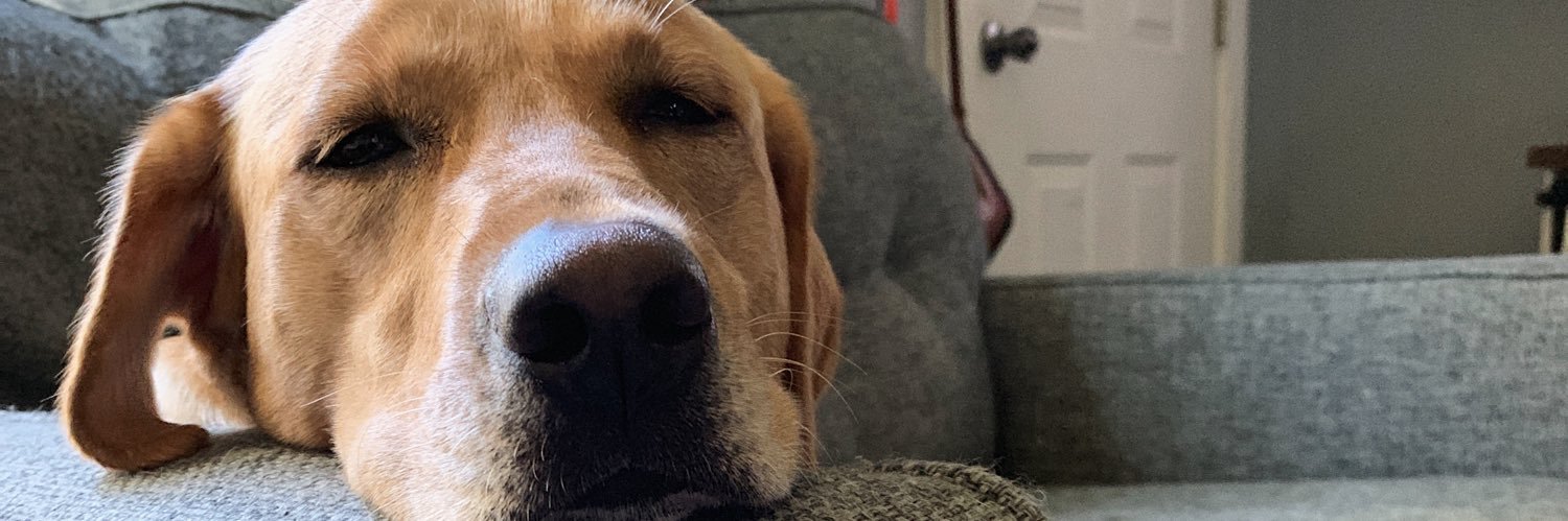 HebertKelsey's profile banner image