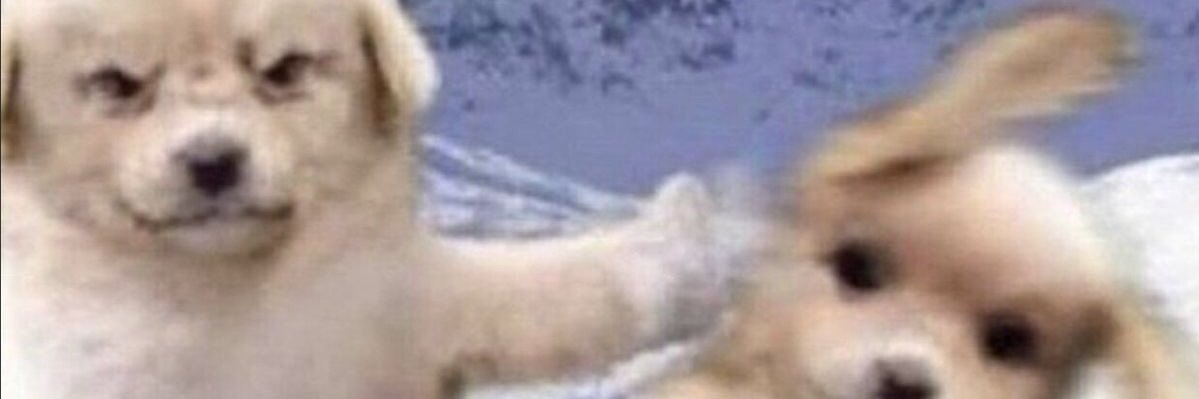 veeisvan's profile banner image