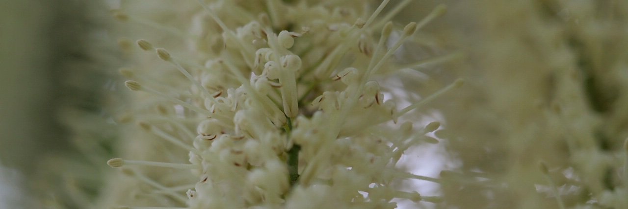 AbiMak2's profile banner image