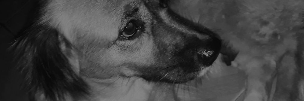 atanjo's profile banner image