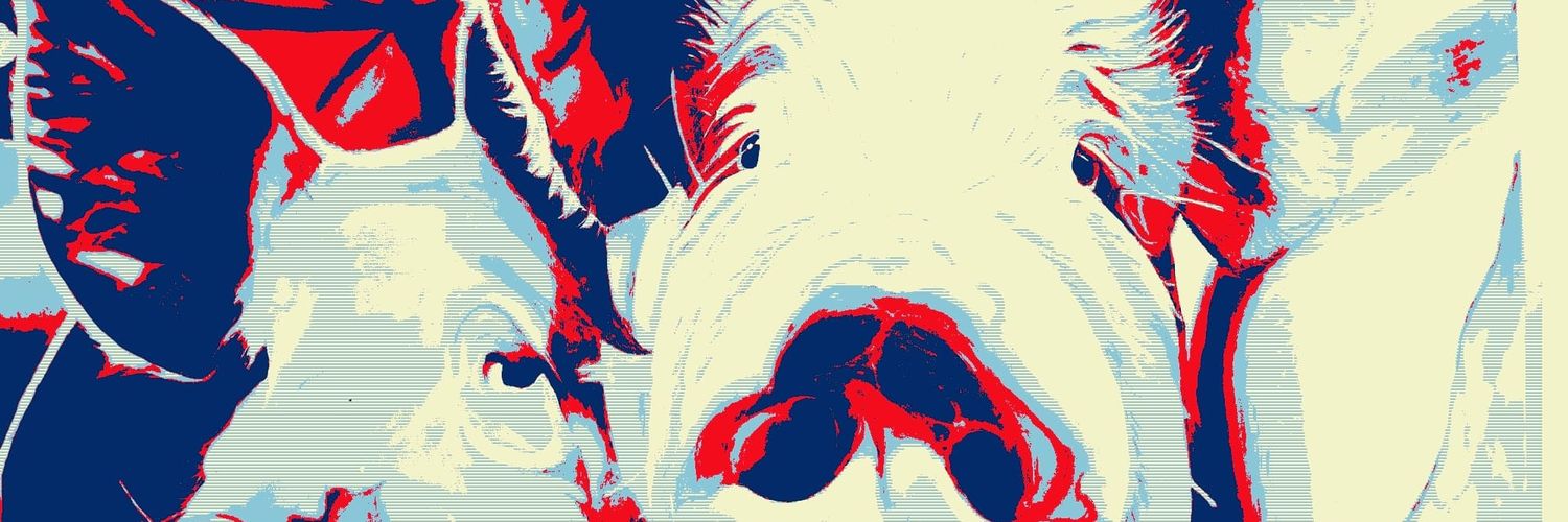vallantine100's profile banner image