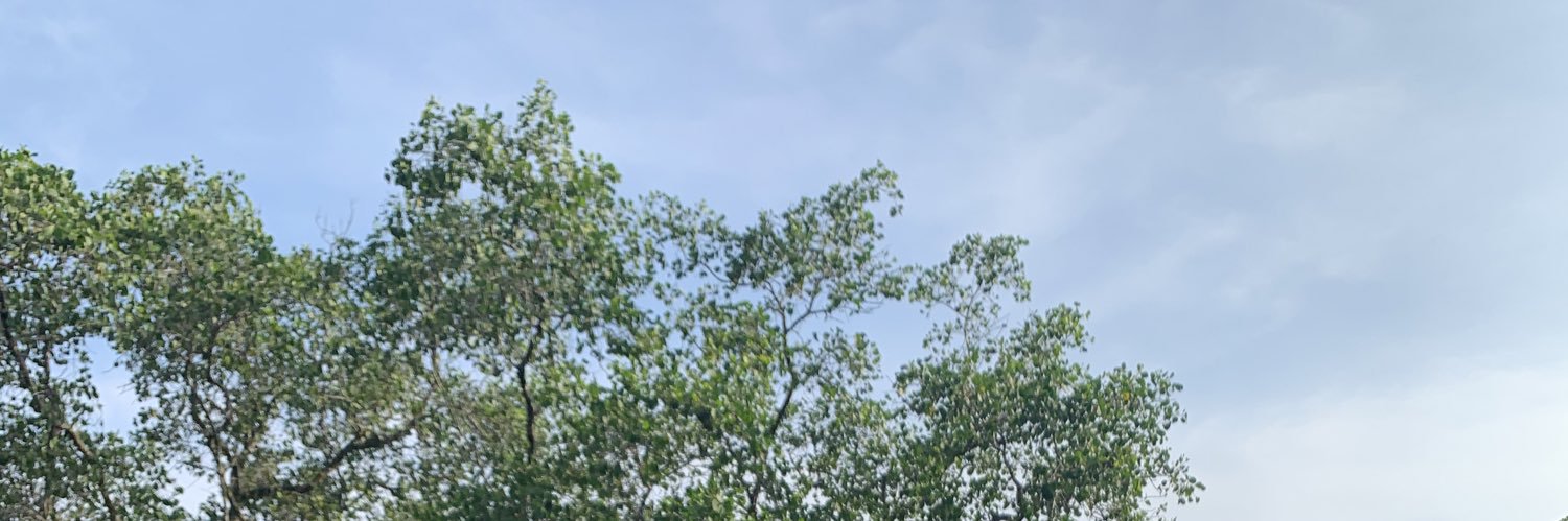 cindydwiutami's profile banner image