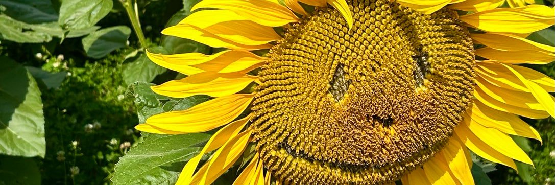 beema68's profile banner image