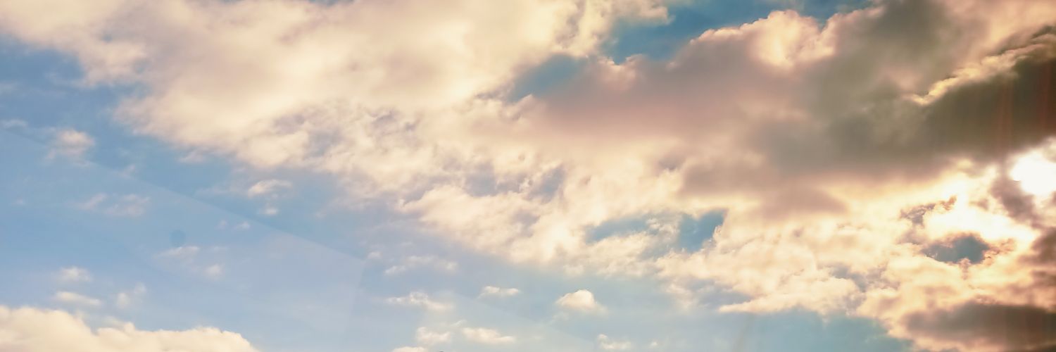 Dygavc's profile banner image