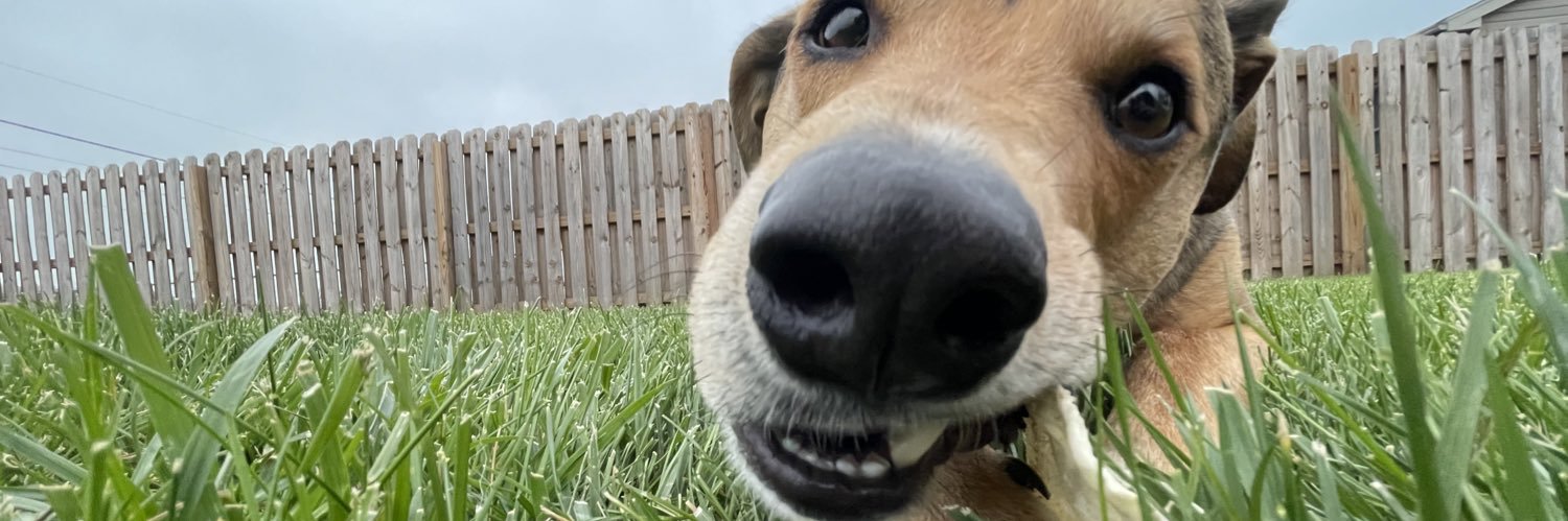 AaronLBeal's profile banner image