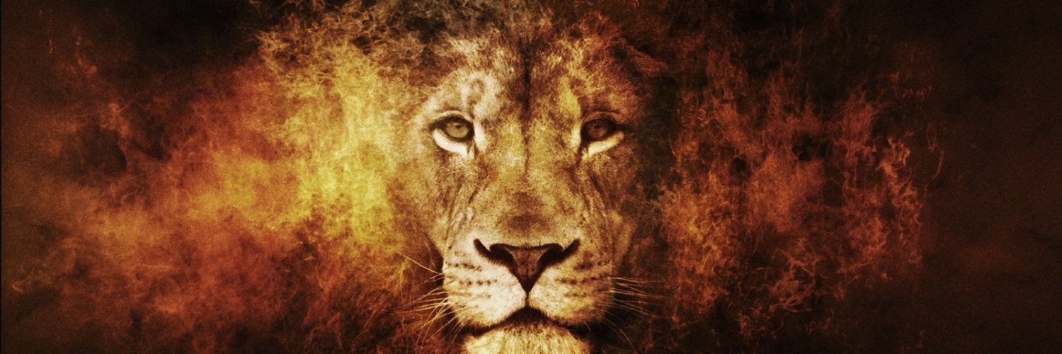 dejandex86's profile banner image
