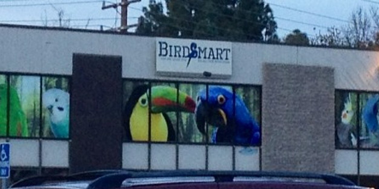 bird_smart's profile banner image
