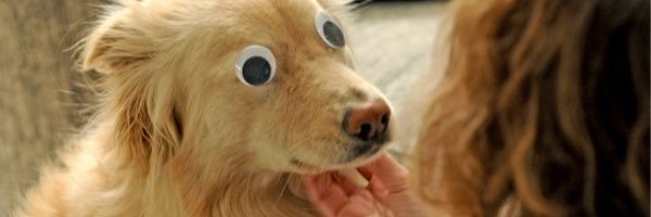 Malmodosa's profile banner image