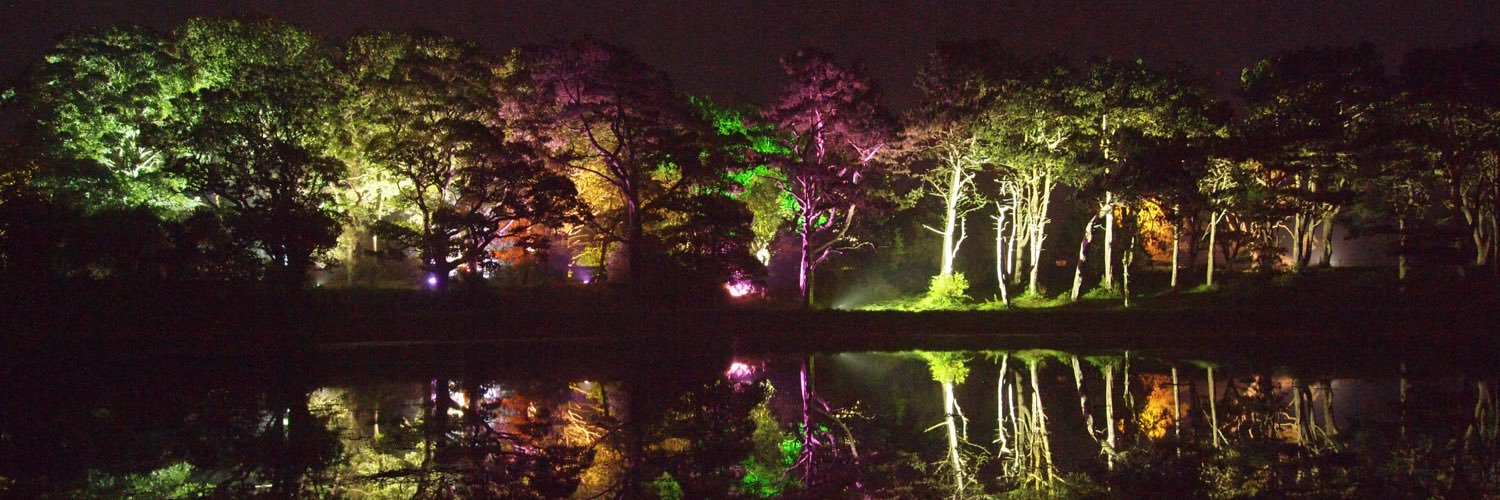 Walter Walcarpit banner