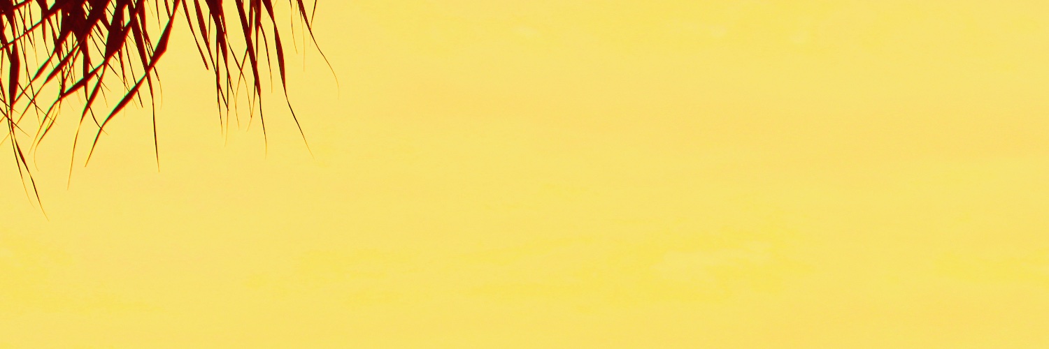 Sibling Jointz banner