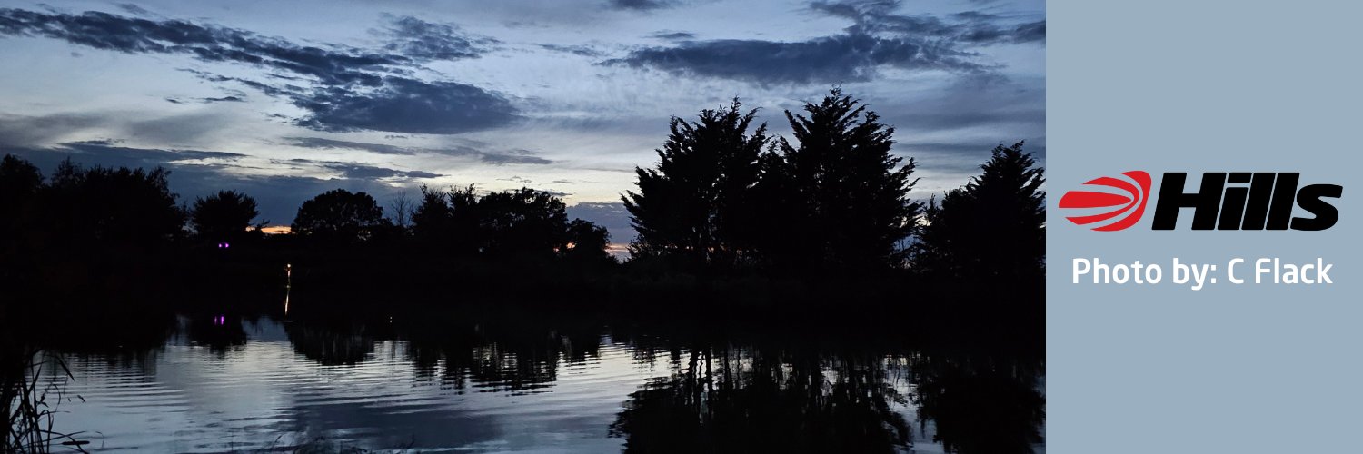 The Hills Group banner